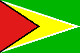 flagge-guyana